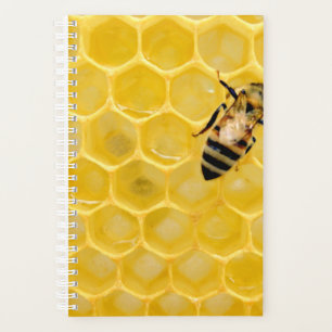 Agenda abelha e favo de mel