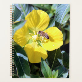 Agenda Abelha Ocupada