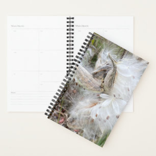 Agenda Abra Milkweed Pods Sementes de Seda