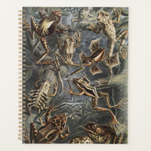 Agenda Academia Sombria Haeckel Impressão Vintage de Rã d