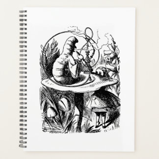 Agenda Aconselhamento de uma lagarta