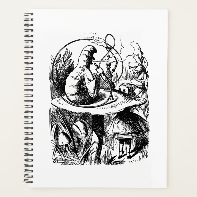 Agenda Aconselhamento de uma lagarta (Frente)