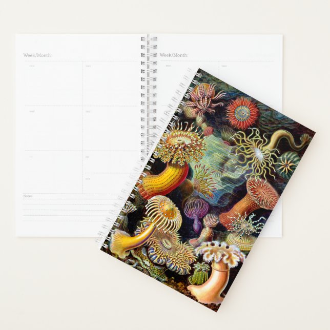 Agenda Actiniae por Ernst Haeckel Planner (Exibição)