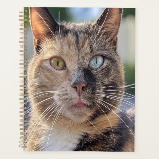 Agenda Adicionar Personalização de Foto de Cat (Frente)