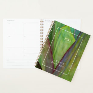 Agenda Adicione Seu Nome   Detalhe da Planta Agave