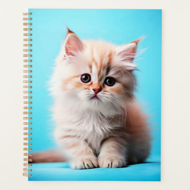 Agenda Adorável White Kitten Potrait- 54971 (Frente)