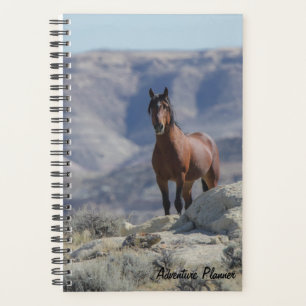 Agenda Adventure Planner