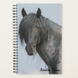 Agenda Adventure Planner com Blue Zeus