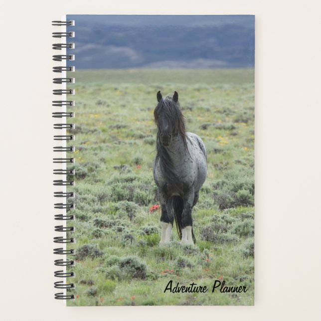 Agenda Adventure Planner com Blue Zeus (Frente)