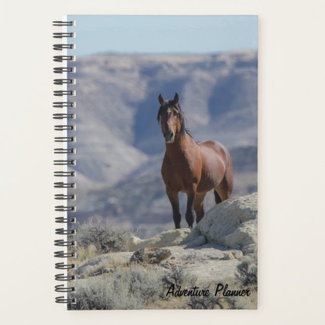 Agenda Adventure Planner com garanhão selvagem (Frente)