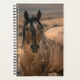 Agenda Adventure Planner com Sir Behr