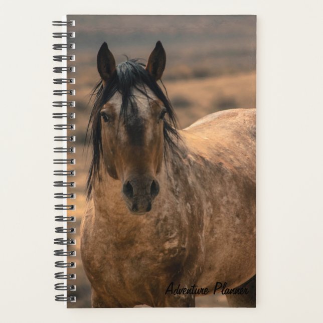 Agenda Adventure Planner com Sir Behr (Frente)