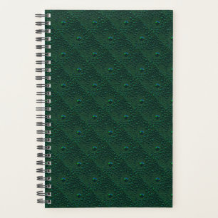 Agenda Água cai no metal verde