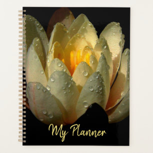 Agenda Água Lily