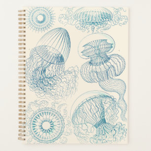 Agenda Água-viva de Ernst Haeckel Arte Científico Antigo