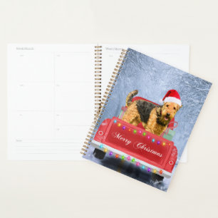 Agenda Airedale Terrier Dog em neve sentada no Natal