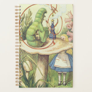 Agenda Alice encontra a lagarta