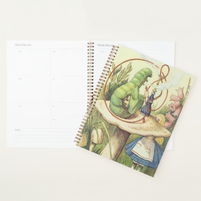 Agenda Alice encontra a lagarta (Exibição)