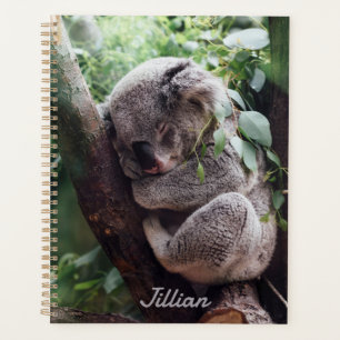 Agenda Amantes de os animais de Urso de Koala Cute