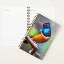 Agenda Amarra Azul-Laranja Verde-Amarelada num Limbo