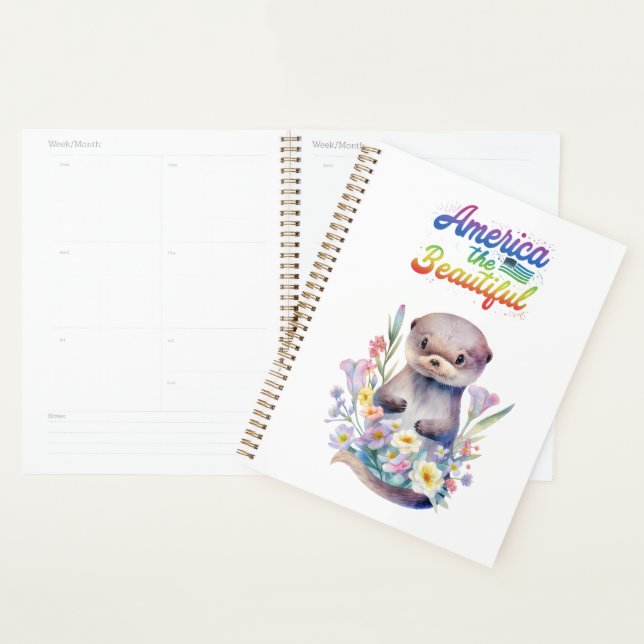 Agenda américa é bonita (Exibição)