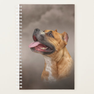 Agenda American Staffordshire Terrier