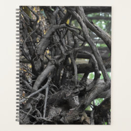 Agenda Amor a Árvore Falsa