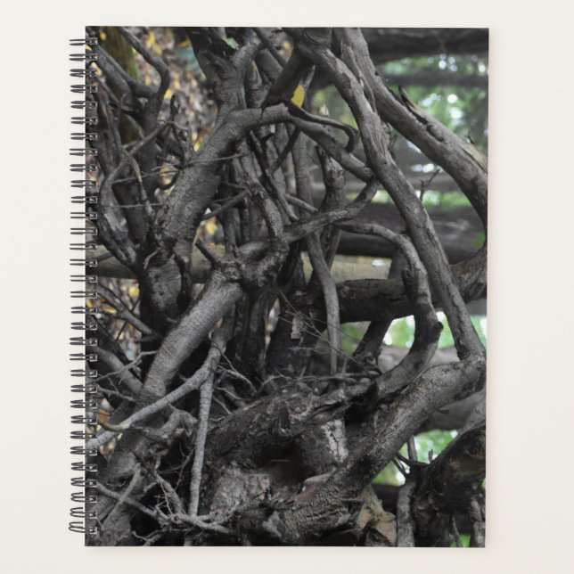 Agenda Amor a Árvore Falsa (Frente)