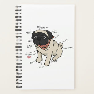Agenda Anatomia Do Cachorro Pug