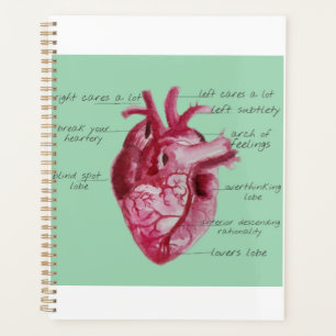 Agenda Anatomia do coração