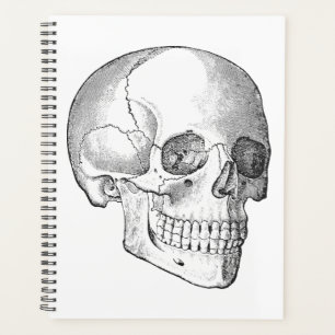 Agenda Anatomia médica desenho do crânio de colheita mono