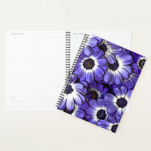 Agenda Anêmona