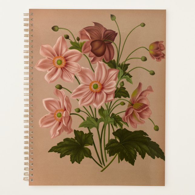 Agenda Anemone Japonica Rosea Exquisite Vintage Botânica (Frente)