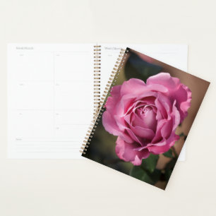Agenda Angel Face Rosa