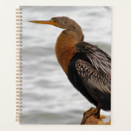 Agenda Anhinga de Vigia