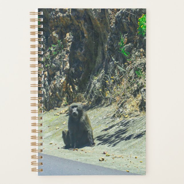 Agenda Animais Selvagens (Frente)