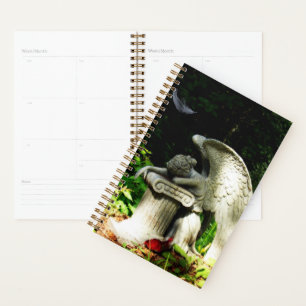 Agenda Anjo de choro
