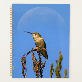 Agenda Anna’s Hummingbird Perched Against Full Moon Photo