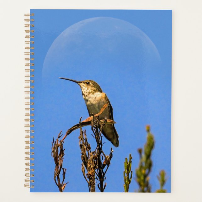 Agenda Anna’s Hummingbird Perched Against Full Moon Photo (Frente)