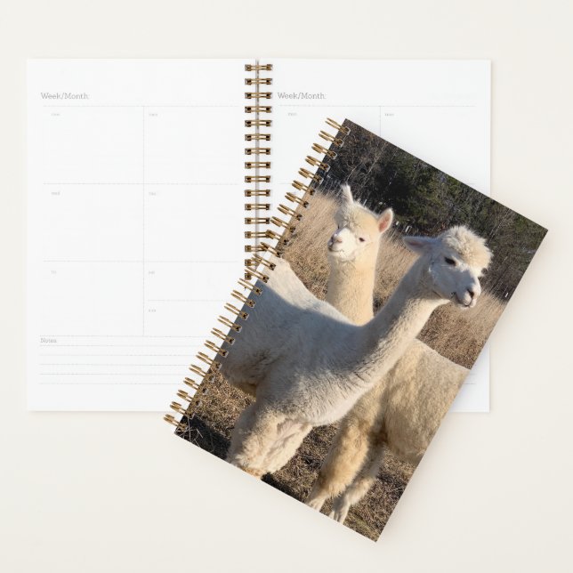 Agenda Annual Planner - Alpacas (Exibição)