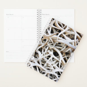 Agenda Antilhas Elk do Sm Planner