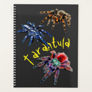 Agenda Aranha tarântula, aranha azul, aranha vermelha, ar
