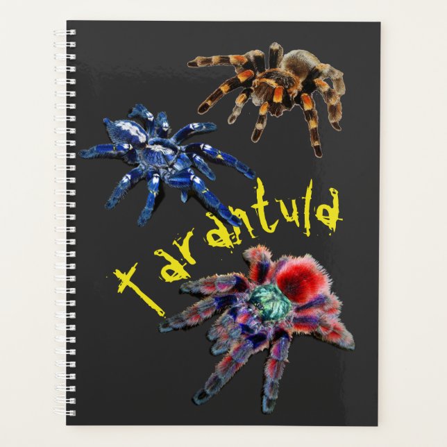 Agenda Aranha tarântula, aranha azul, aranha vermelha, ar (Frente)