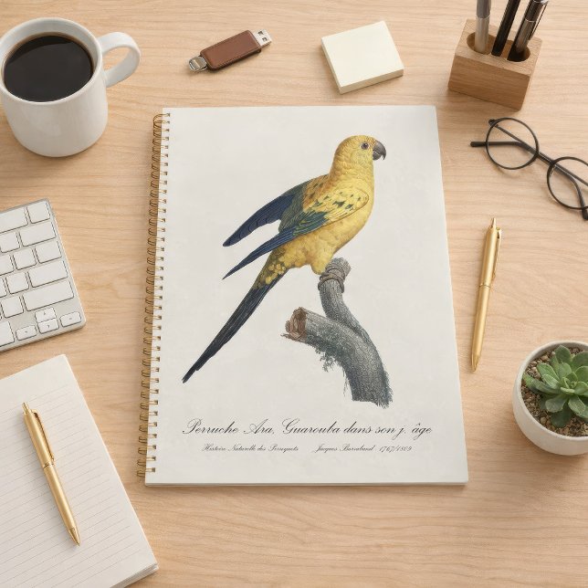 Agenda Aratinga-solsticial ou Jandaia-solsticial Aratinga (Guarouba dans sons jeune age / Sun parakeet. Planner)