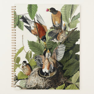 Agenda Arte de ninho de pássaro do melro-americano Audubo