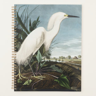 Agenda Arte de Pássaro da Garça Branca de Audubon Vintage