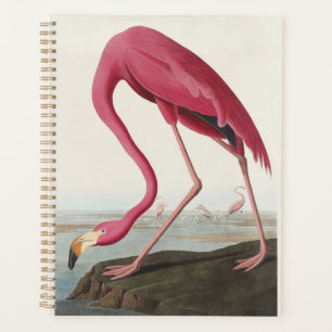 Agenda Arte de Pássaro Rosa Flamingo Americano Vintage Au