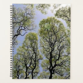 Agenda Arte Intriciada em Árvore Verde