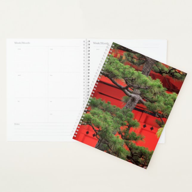 Agenda Árvore de Pinheiro Bonsai (Exibição)
