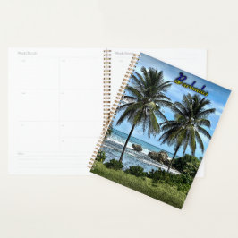 Agenda Árvores de Palmeiras de Barbados
